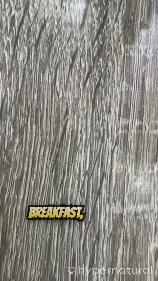 Cat vs Dog: Epic Showdown!