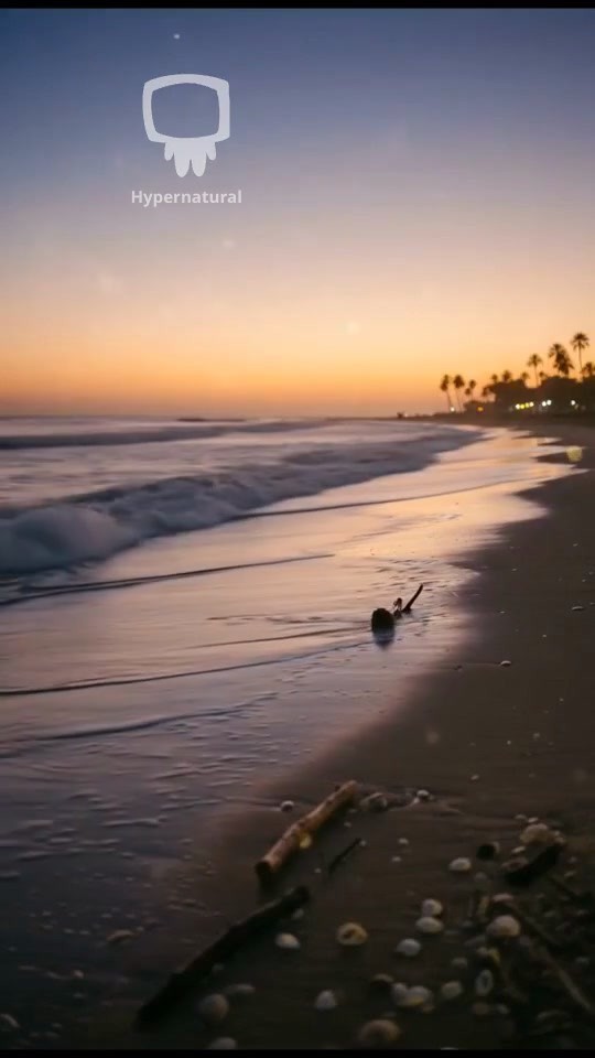 TEAM SOY: A GROUP OF YOUNG GUYS IN UNIMAK