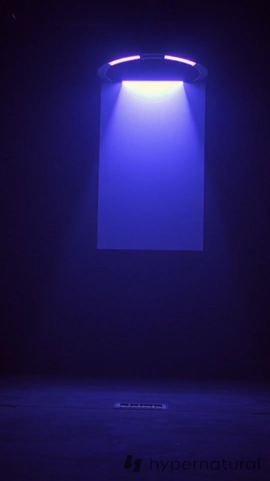 Shadows of Unfulfilled Dreams