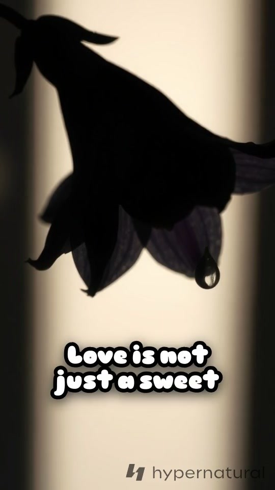 The Power of Love: A Force for Hope and Light