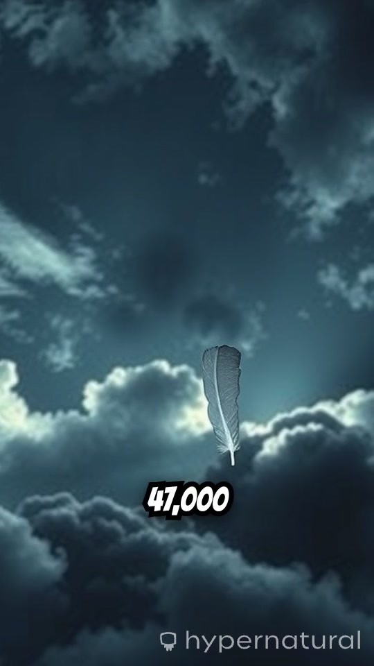 Miracle at 47,000 Feet: The Unbelievable Survival Story