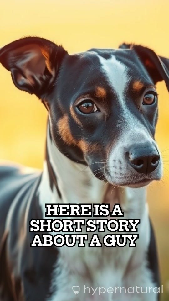 Smart and Pingo: The Quest for Star-Petal