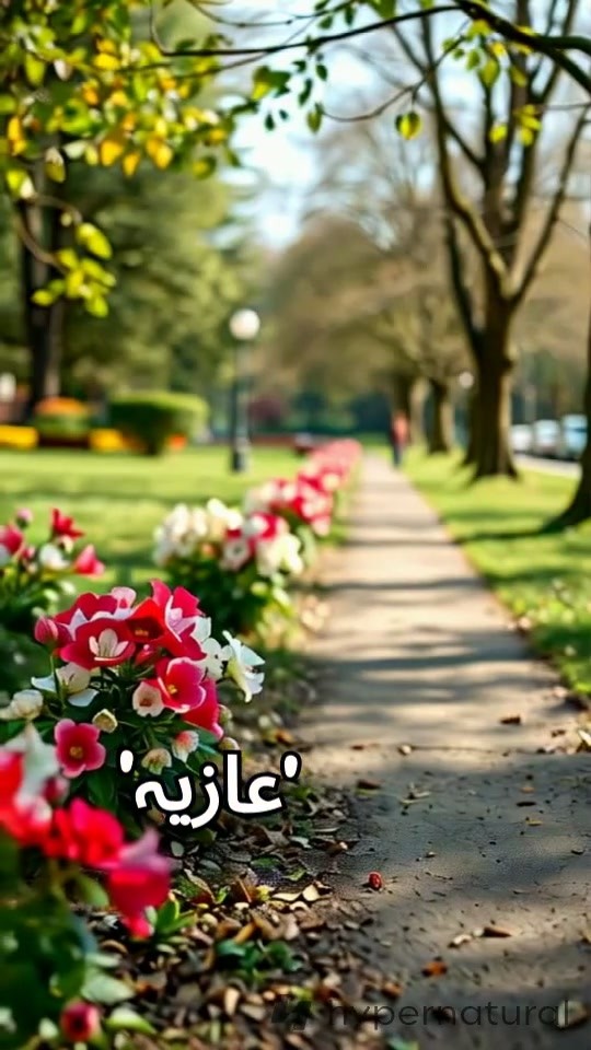 دوستی کی طاقت