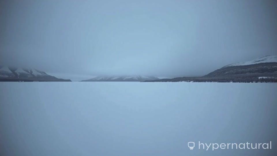 Harmonic Journeys: A Sound Odyssey