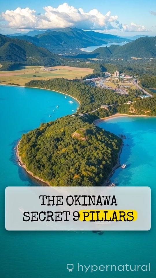 The Okinawa Secret: Unveiling the 9 Pillars of Longevity