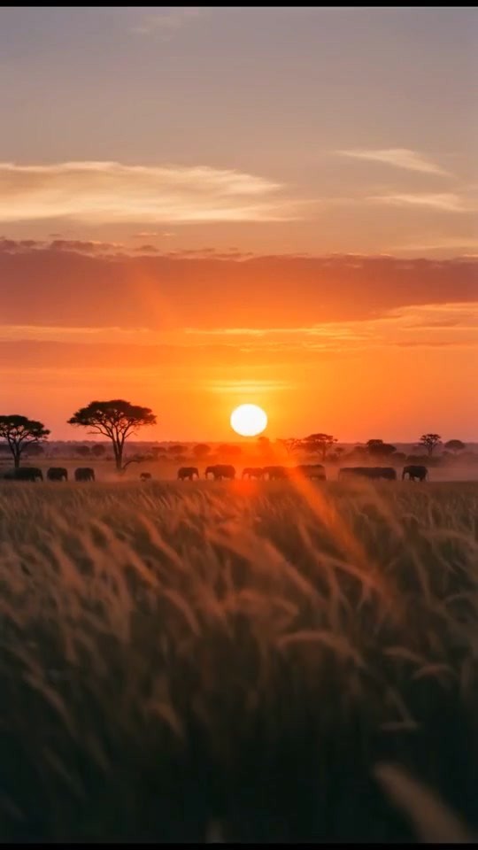 Sitting Next to a Lion (copy) (copy)