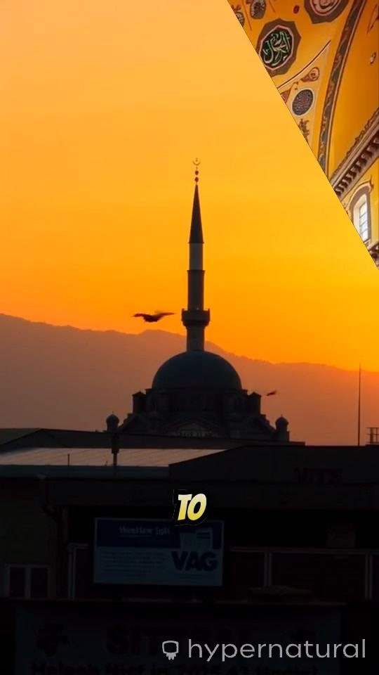 Nimaz: The Muslim Prayer