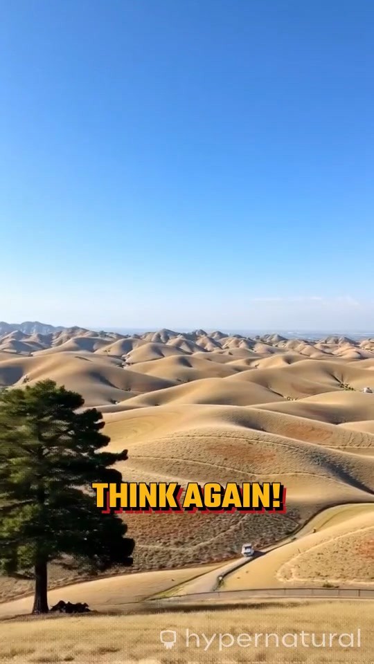 5 Surprising Facts About Texas