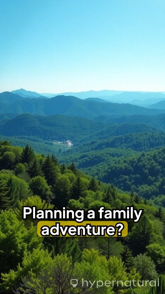 Top 5 Family Activities in the Smoky Mountains