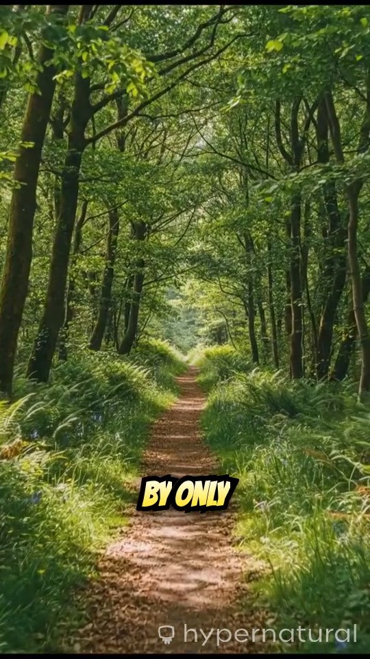 Choose Your Path to Greatness