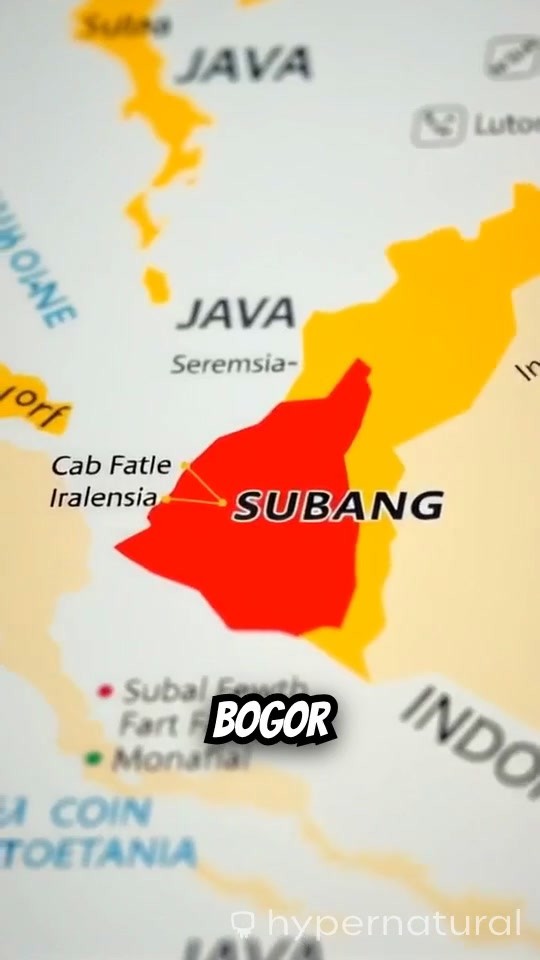 Bogor to Jakarta: Visiting the Pakistani Embassy (copy)