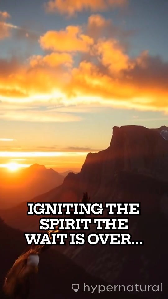 Igniting the Spirit: A Fire-Themed Sports Fest