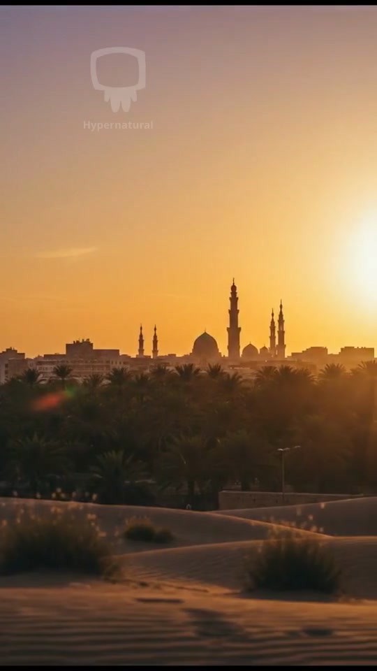 Living Well in Los Angeles: A Journey to Your Perfect Home