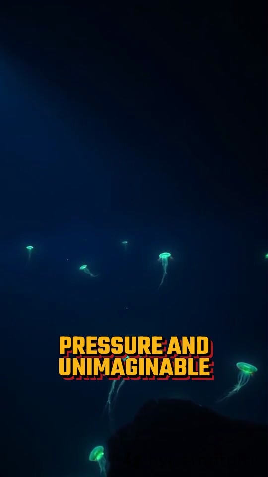 Surviving the Depths: Tales of Deep Sea Rescue