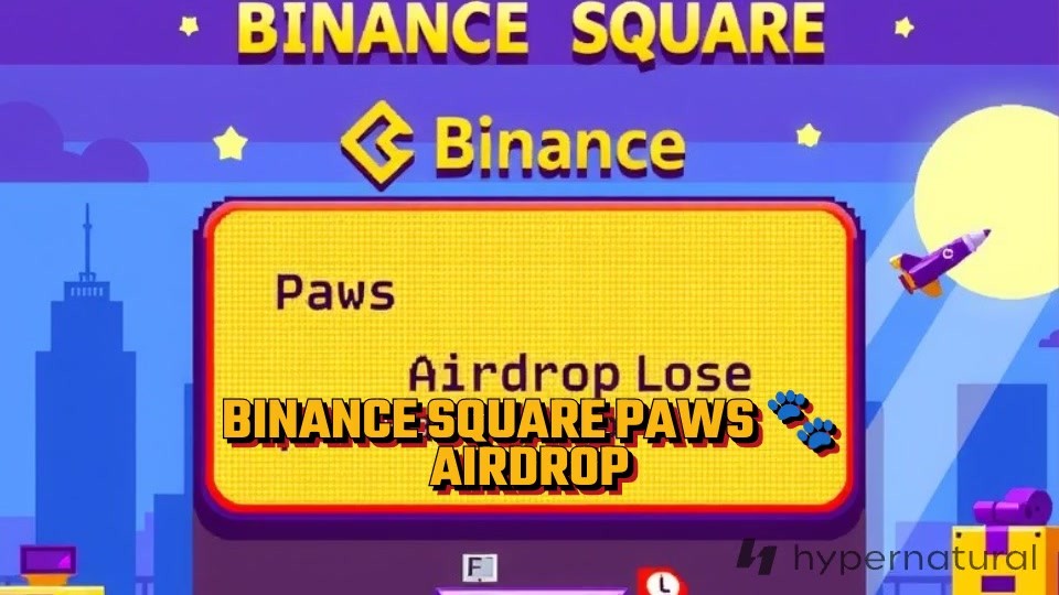 Binance PAWS Airdrop Guide: Value, Withdrawal Instructions & More!
