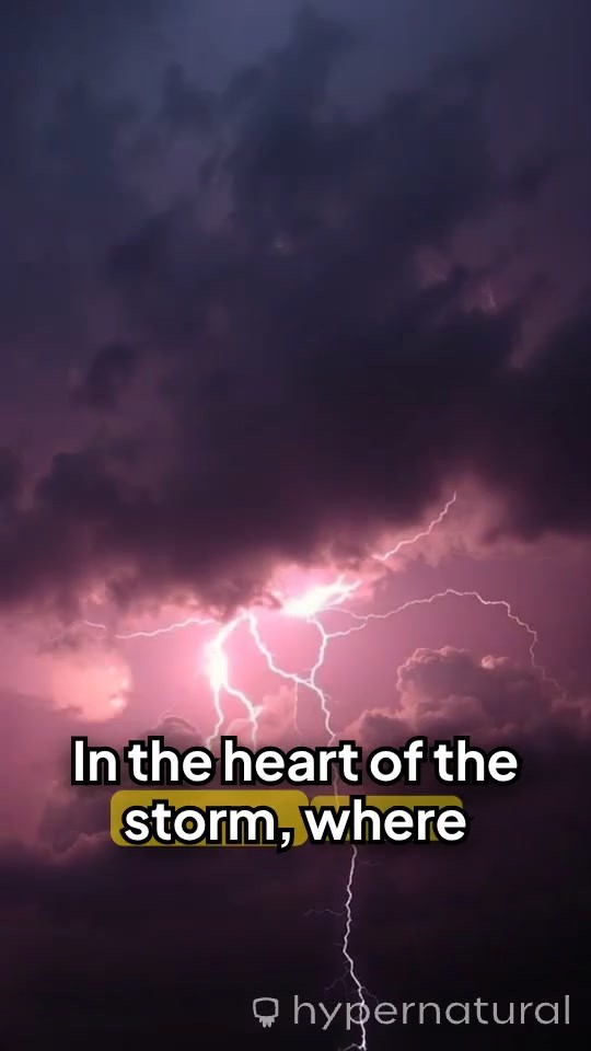 The Sea Gods and Their Price