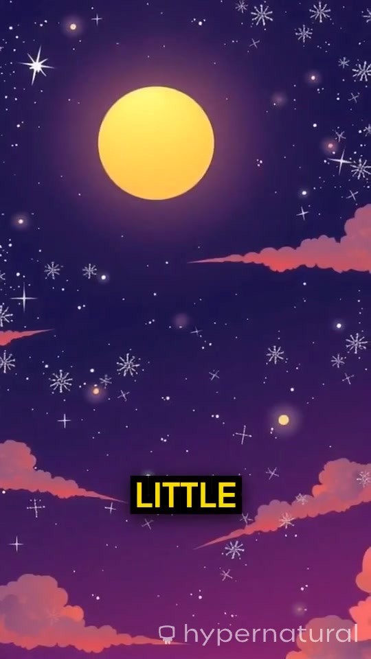 Little Moon and the Starry Tune