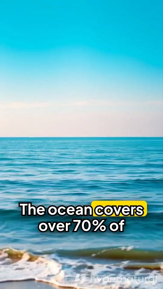 Dive into Ocean Wonders: Unexplored Depths, Treasures, and Life!