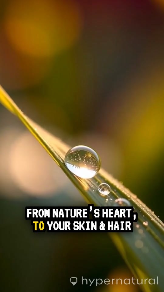 Discover the Beauty of SHEACURA Naturals!