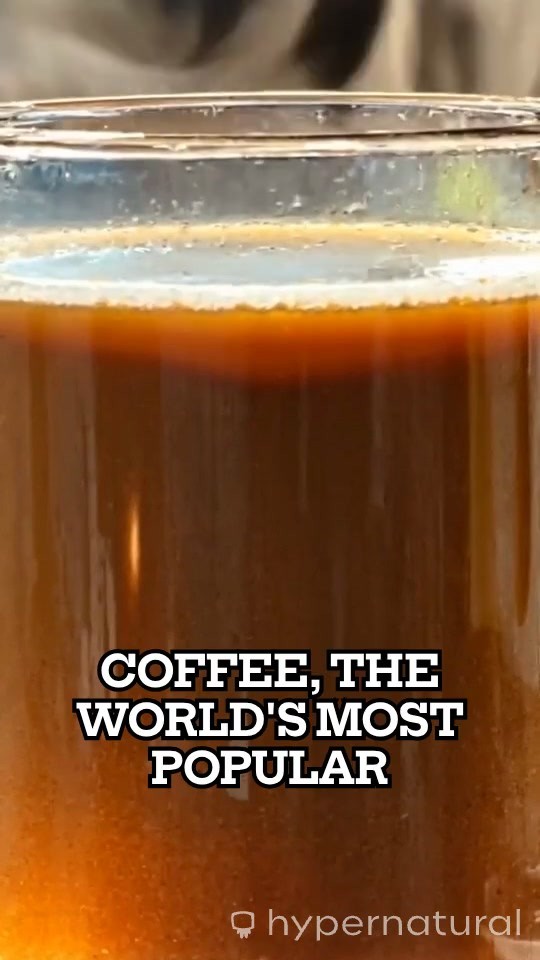 Understanding the Effects of Coffee: An Educational Overview