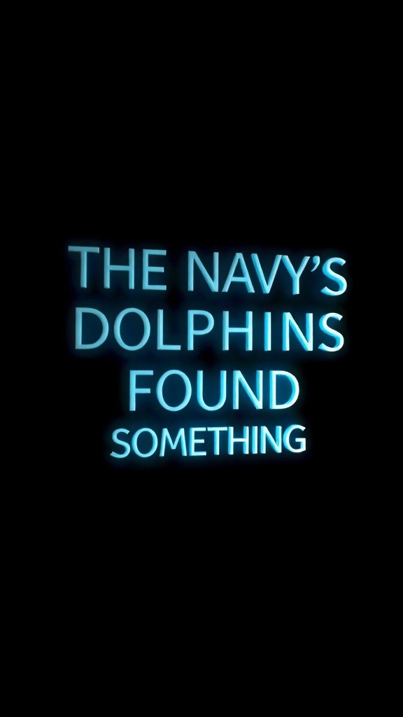 What Dolphins Discovered Beneath the Waves