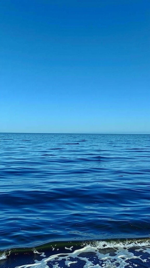 The Balance of Life