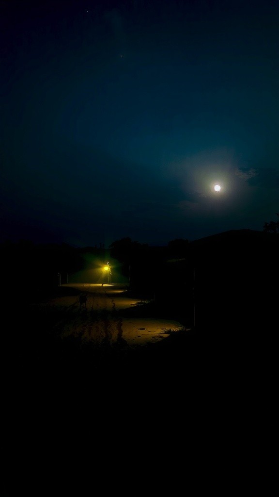 The Poor Boy and the Talking Calabash