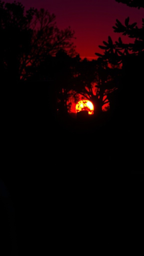Never enter the old cemetery after dusk