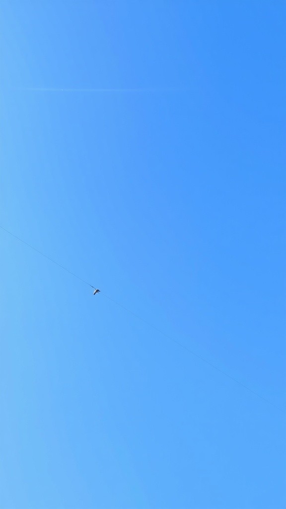 The Day the Sky Split