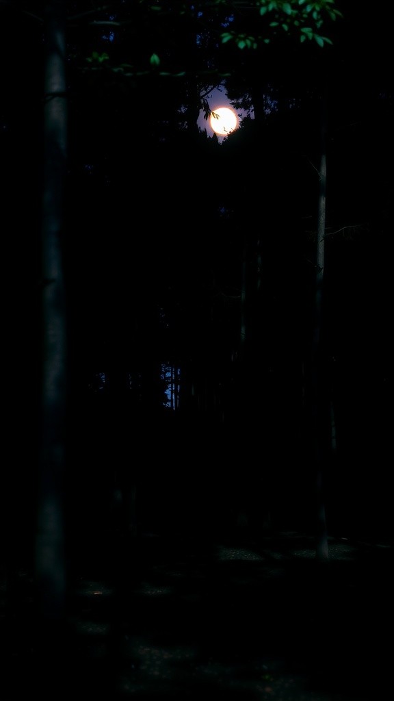 Whispers in the Woods: The Chupacabra's Call