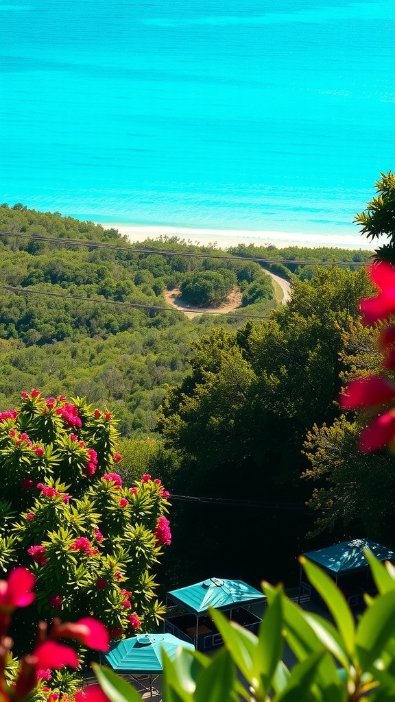 Anguilla and the Power of .AI