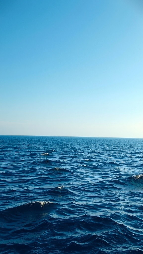 Mystery of the Bermuda Triangle