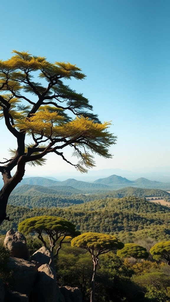 Rise of the Oyo: From Earth to Empire