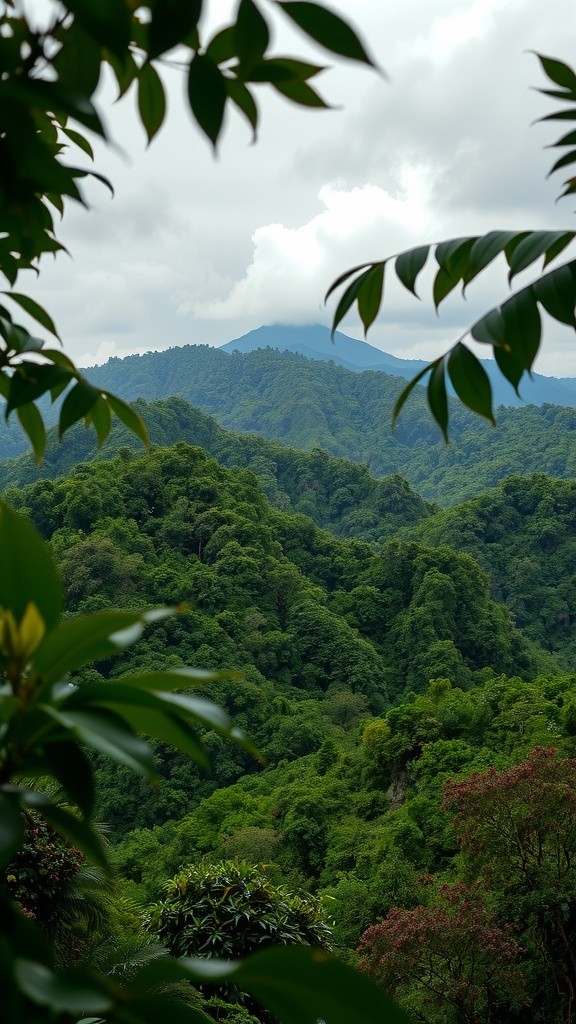 Perusak Alam di Papua: Deforestasi dan Penambangan