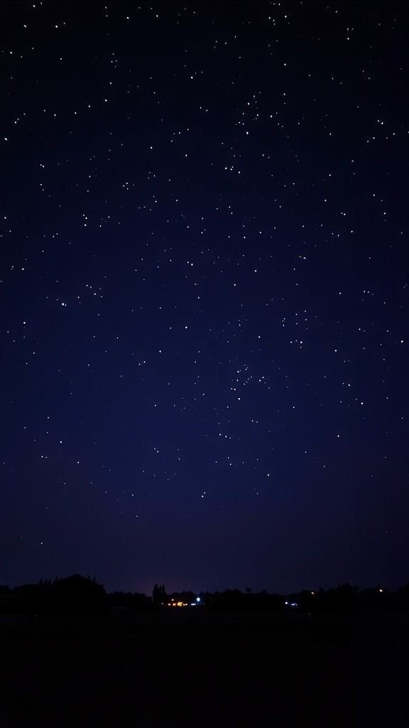 The Forest of Dreams