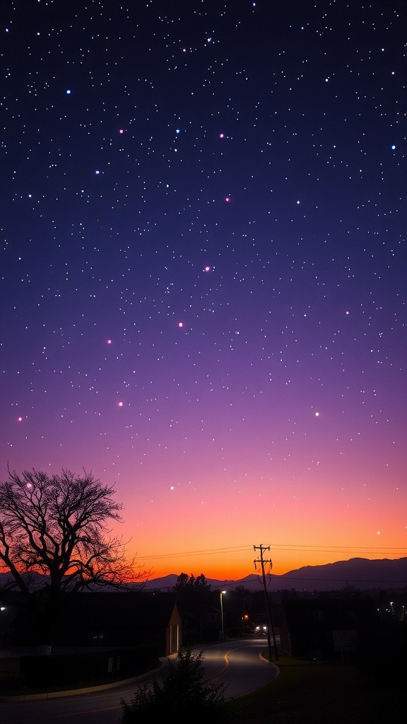 The Serenade Under the Stars