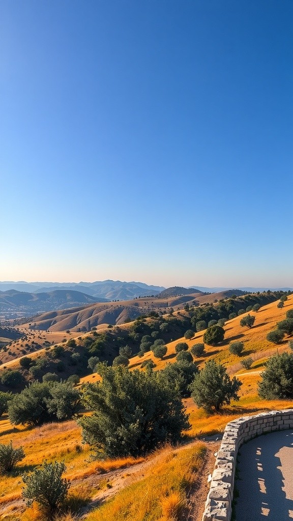 Joseph's Journey in the Bible