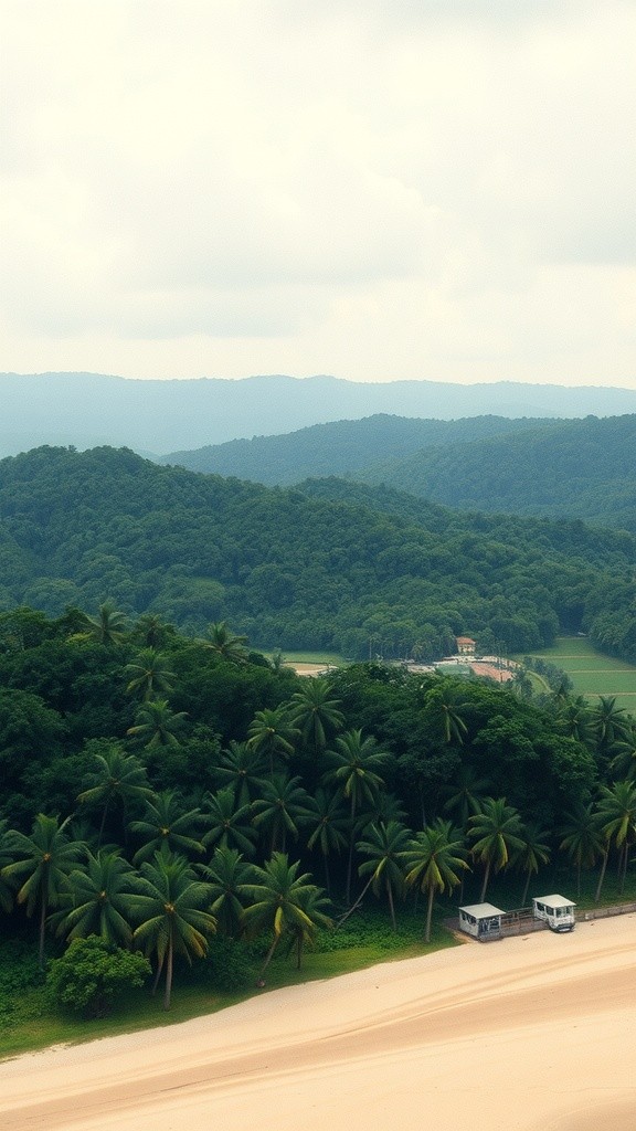 The Origins of Islam in Liberia