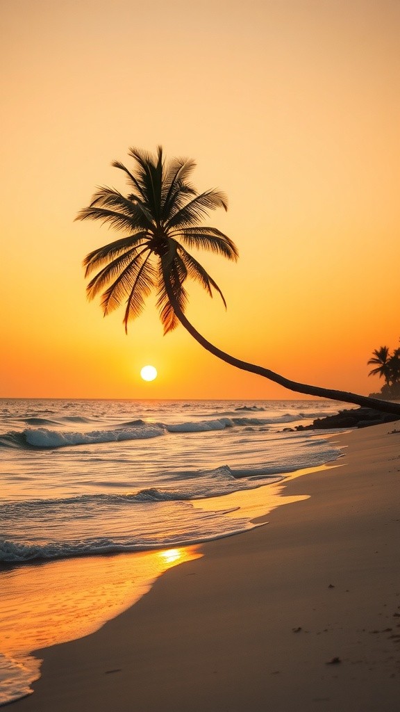 Soaring High with Our Colorful Parrot Airlines!