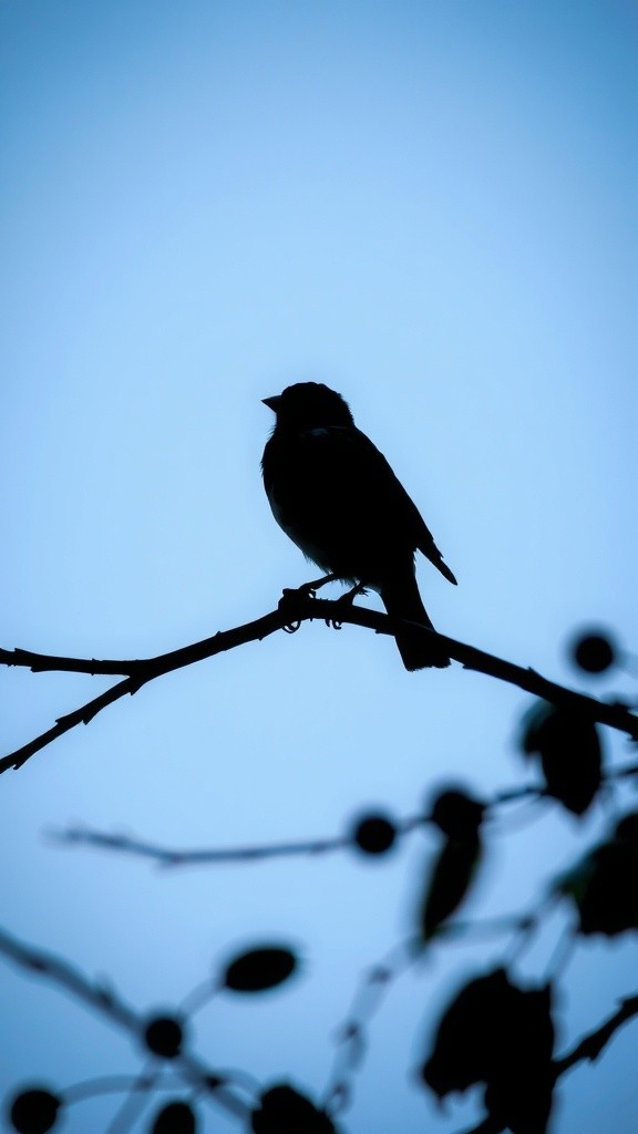The Power of Unity: A Sparrow's Tale