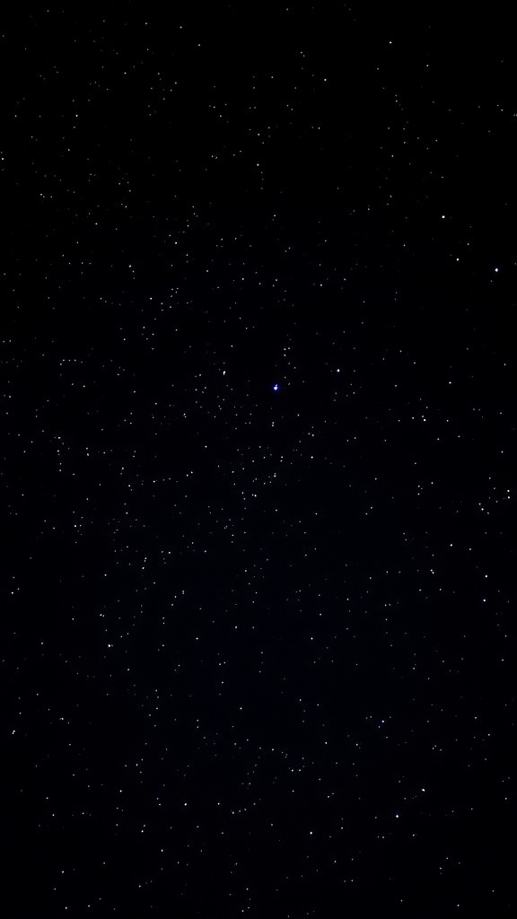 Starlit Encounters