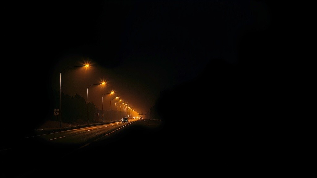 Misteri Malam di Hutan Saradan: Pertemuan Menghentikan Jantung
