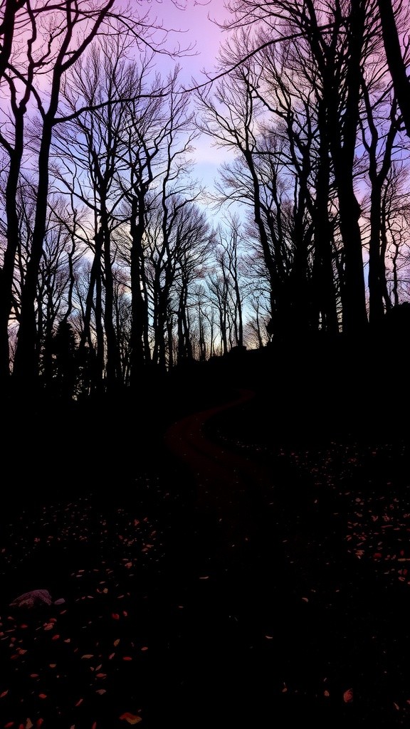Keep Moving Forward: Strength in Every Step