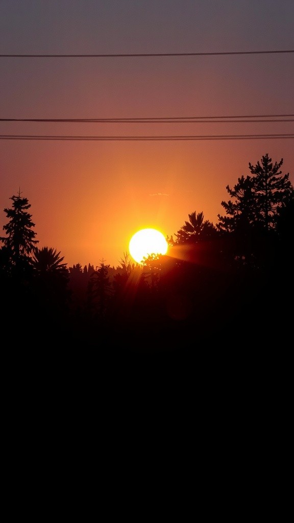 Embrace Change: The Beauty of New Beginnings