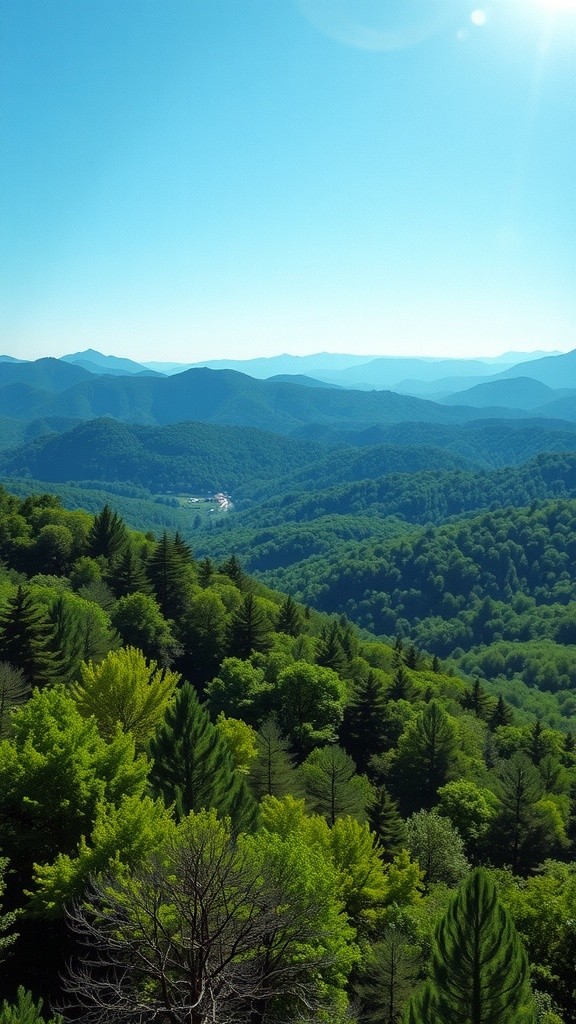 Top 5 Family Activities in the Smoky Mountains