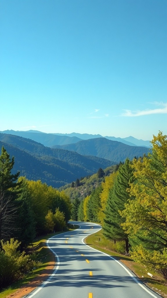 Sasquatch Takes a Spin in a Convertible!