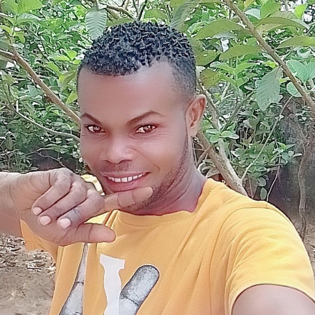 Insights from Kitoye