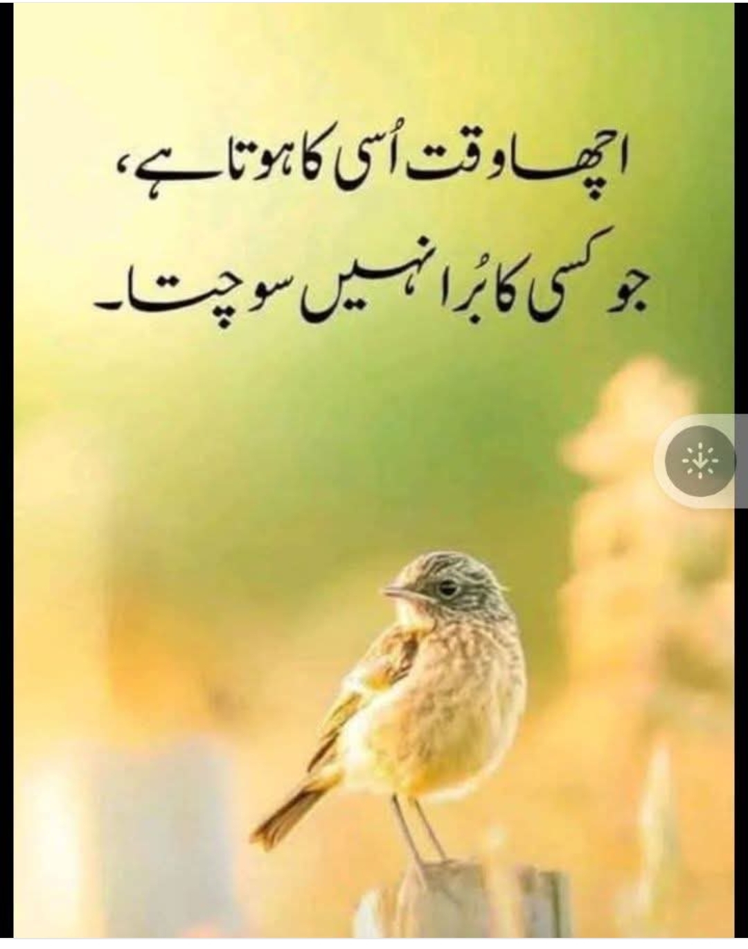 صبر کا پھل: بکری اور آم کا درخت