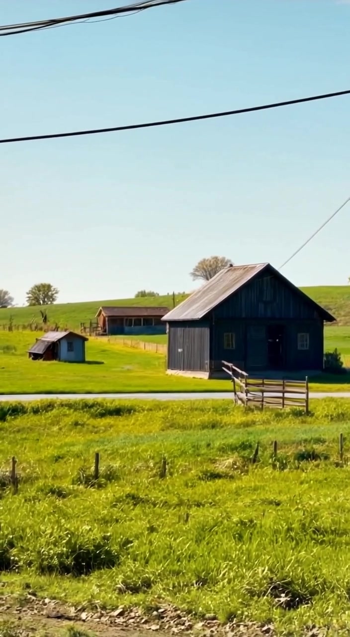 Understanding Amish Exemptions in America
