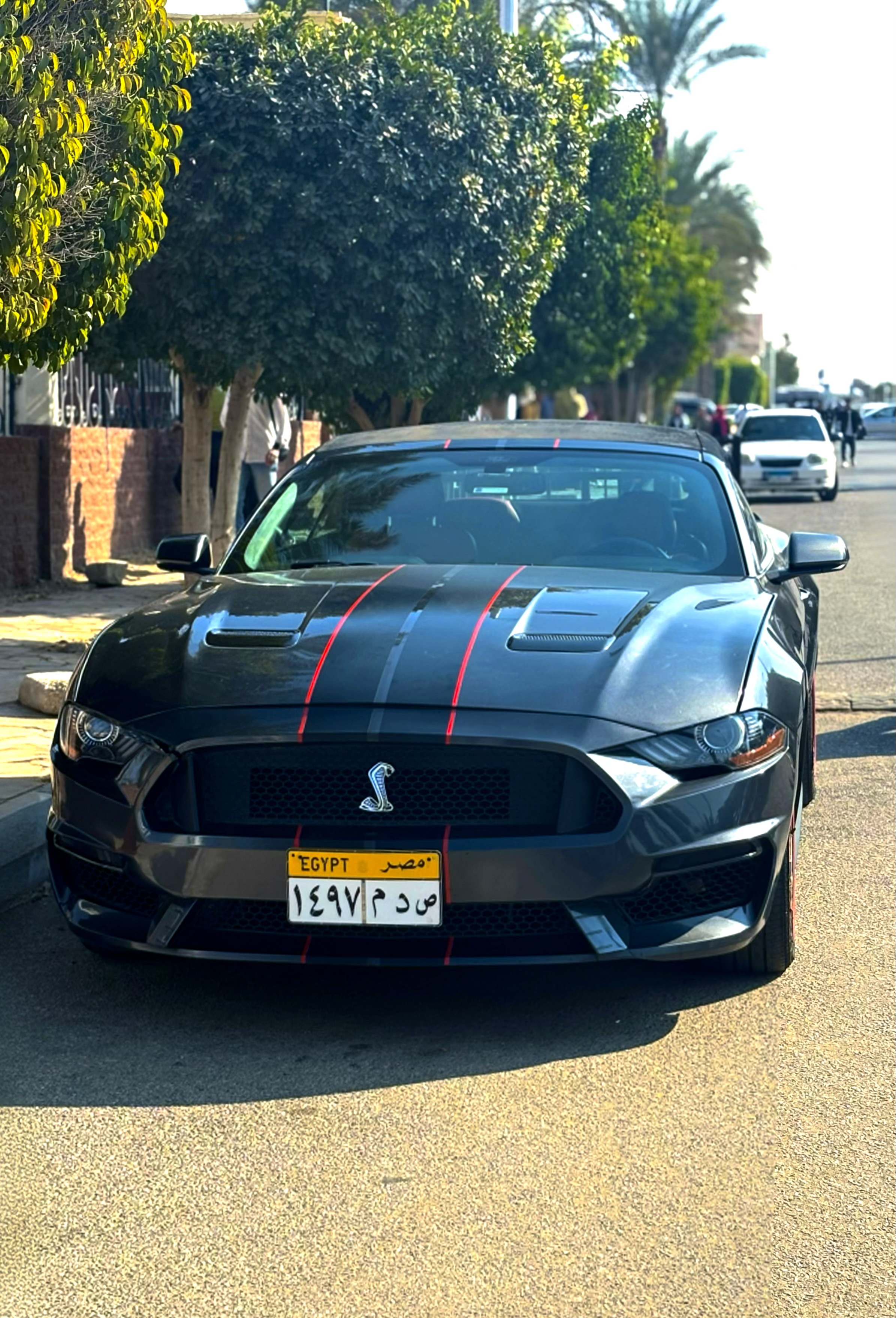 Fast Car on the Road